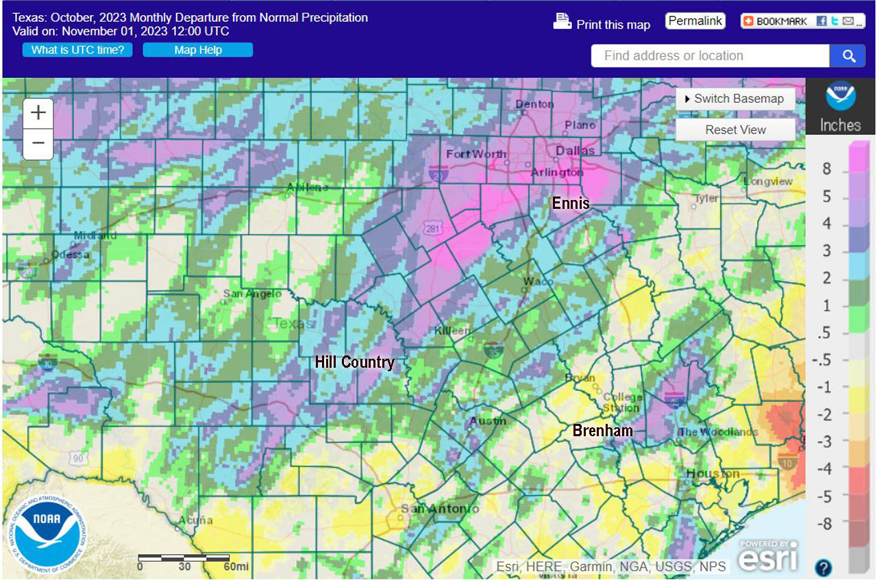 2024 Texas Wildflower Season
